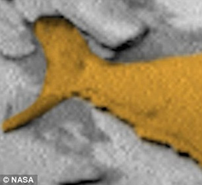 NASA好奇号拍到火星上有条化石大鱼?