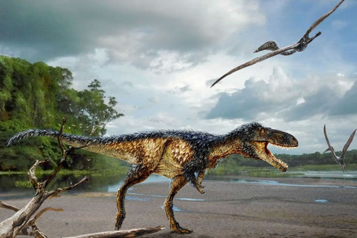 乌兹别克北部沙漠发现属于暴龙祖先的新品种恐龙化石Timurlengia euotica