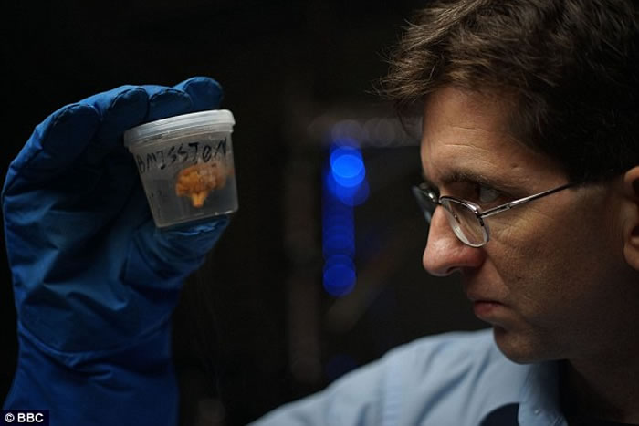 ��ת����ʶ�������� ����˹��ý����а�����ʽ����