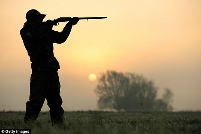 ����������Э��ٰ츴������ô��� ��ɱ1.8��ֻҰ��