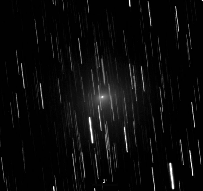 ���ź����̹�ġ�252P/��������ǡ��ո��ӹ�����