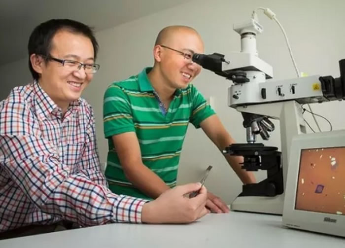 ¬�����󣩺����о��Ŷ����Ƴ�ȫ����ľ�Ƭ��