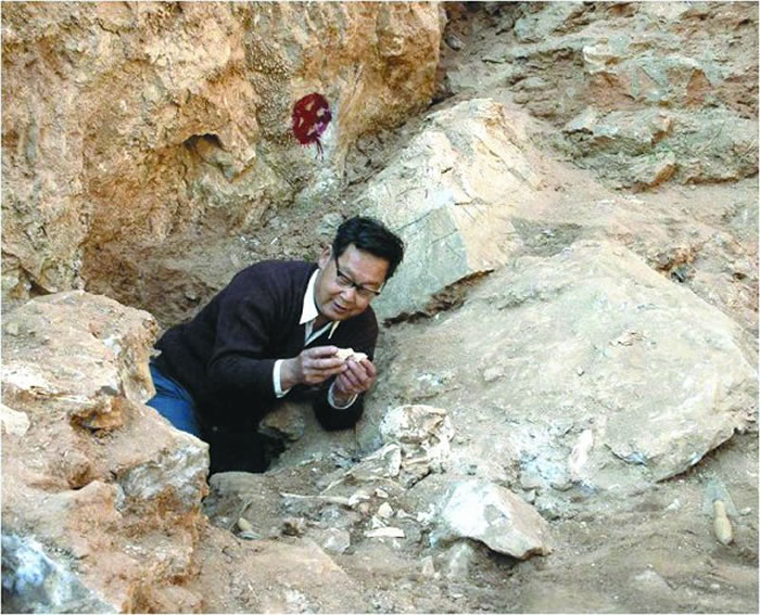 �����е�����������