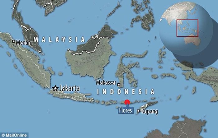 弗洛勒斯人的活动年代比先前研究早3.8万年 智人可能与弗洛勒斯人的消亡有关