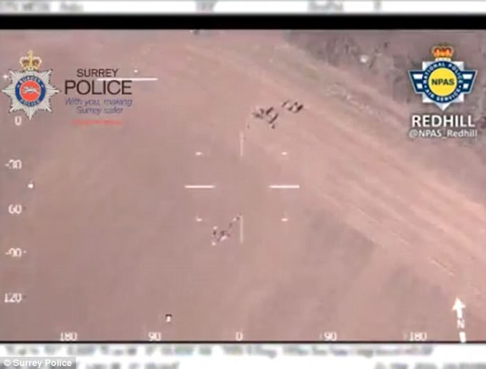 Ӣ��8������С��ũ���ų���ͷָ������ֱ����ץ��