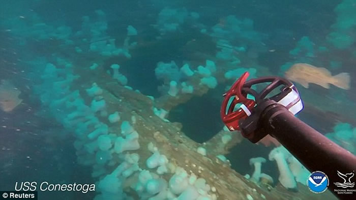 ����95��ǰ����������������ʷ�мӺš� �⿪��ʷ����