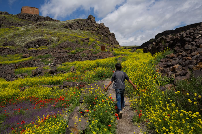 山顶上的亚美尼亚教堂废墟,坐落在土耳其遥远东部的古亚美尼亚村落遗址上,这里如今已是库德族人的家园。虽然他们的祖先在一个世纪以前曾参与亚美尼亚人集体屠杀与驱逐事&