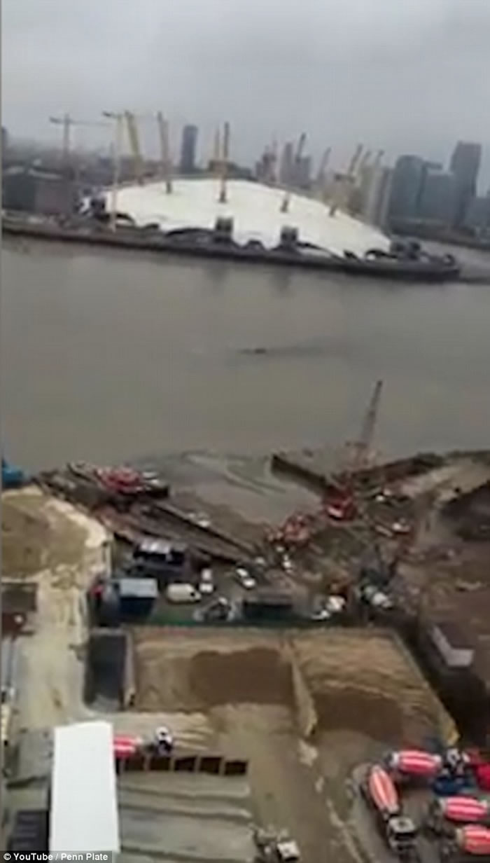 尼斯湖水怪到伦敦度假?英国泰晤士河拍到巨大怪物河中游过