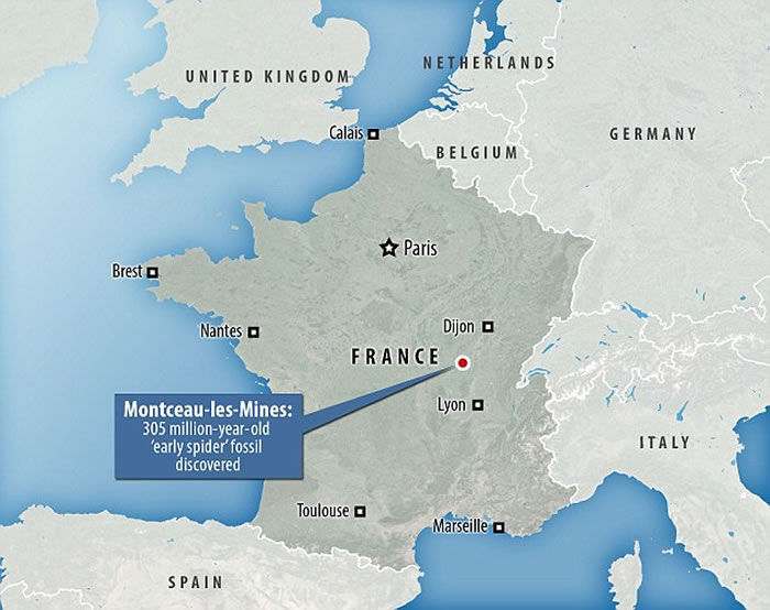 法国发现3.05亿年前疑为蜘蛛近亲的化石Idmonarachne brasieri