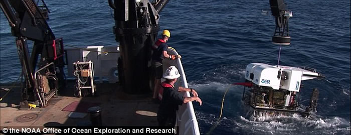 美国国家海洋暨大气总署(National Oceanic and Atmospheric Administration)的欧奇亚诺斯探索号(Okeanos Ex