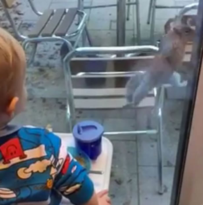 Ӣ�����������ڸ����ӳԷ��������������ߴ����������ڡ���ʳ��ȴײ�ϲ�����