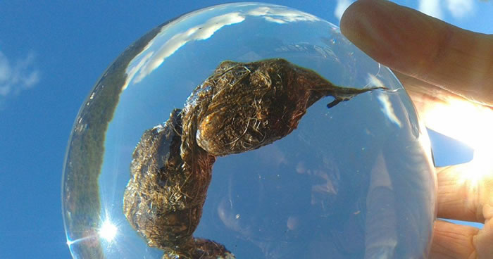 ȫ���׼���ҷ�㲩����ڸ������Ӣ�����ص�����԰��ʽ����