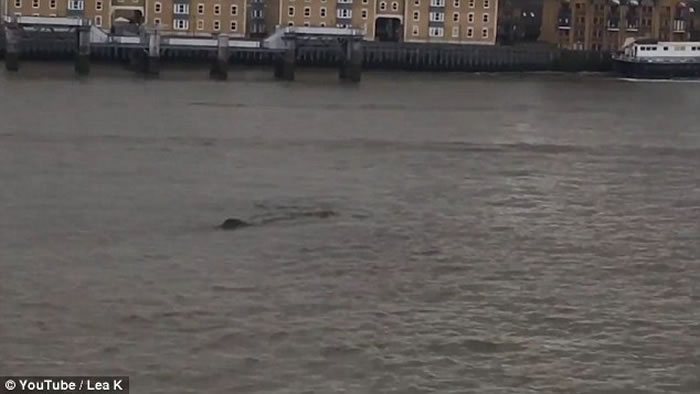 Ӣ��̩��ʿ�����ٷ��ָ������� ˮ��֮˵��������