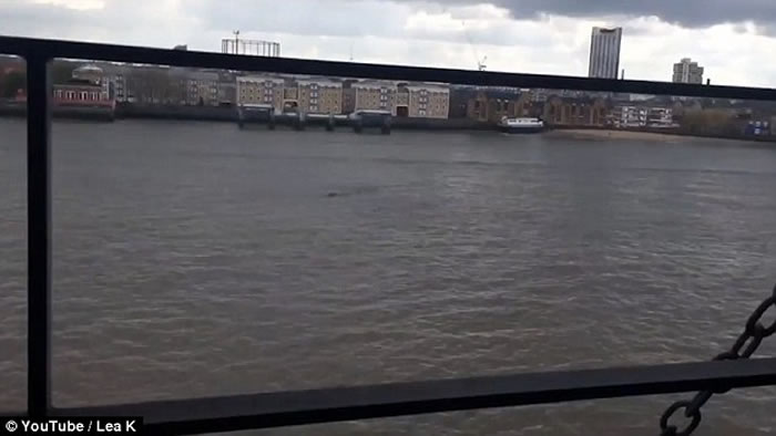 Ӣ��̩��ʿ�����ָ������� ˮ��֮˵��������