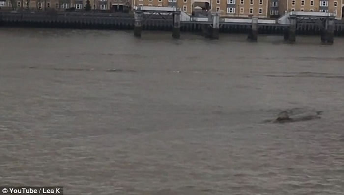 Ӣ��̩��ʿ�����ָ������� ˮ��֮˵��������