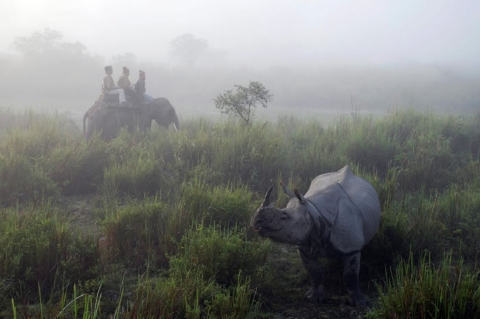 �������ӵ���ӡ��ǰ �������ӹ��ҹ�԰����Ϭţ����ɱ