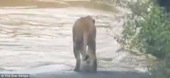 ��������Ӱʦ���ݵ�ס��ʨ��ȥ· ����ʨ�ӱ������ٲ�����δ��