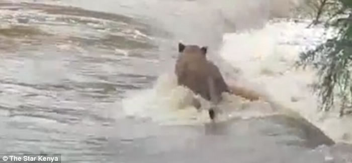 ��������Ӱʦ���ݵ�ס��ʨ��ȥ· ����ʨ�ӱ������ٲ�����δ��