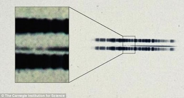 ���ڻ�����̨���ֵ�1917�����Ĳ�����Ƭ���Ƿ�������ϵ�����ǵ�֤��