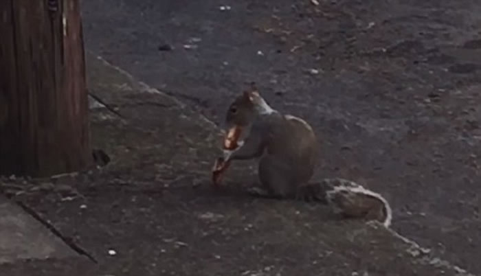 ����������̰������ҧס��鱡�����ϵ��߸���������