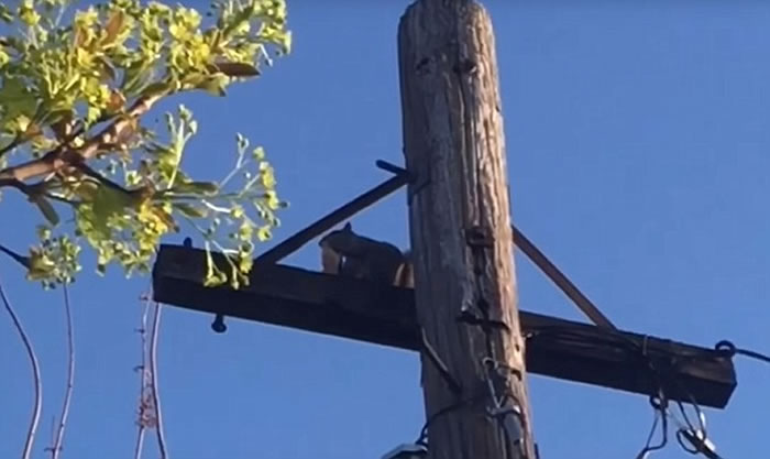 ����������̰������ҧס��鱡�����ϵ��߸���������