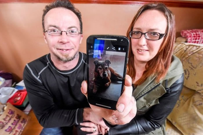 英国男子家中发现鬼影 原是已故爱犬现身?