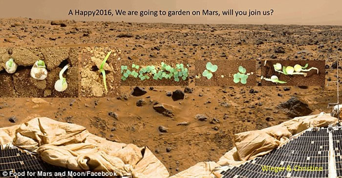 《绝地救援》成真?NASA真要在火星上种马铃薯