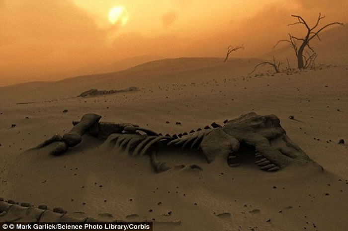 ��С����ײ���������ģ���ǰ �����ѳ����𽥵����ɸı��˥��