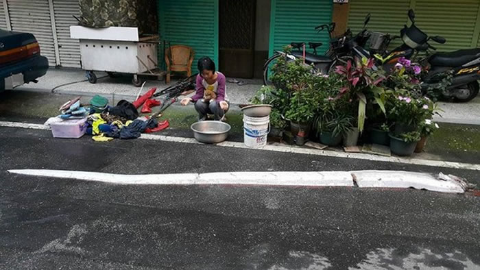 ̨���峿���������������󲶻�����㡰�ʴ��㡱