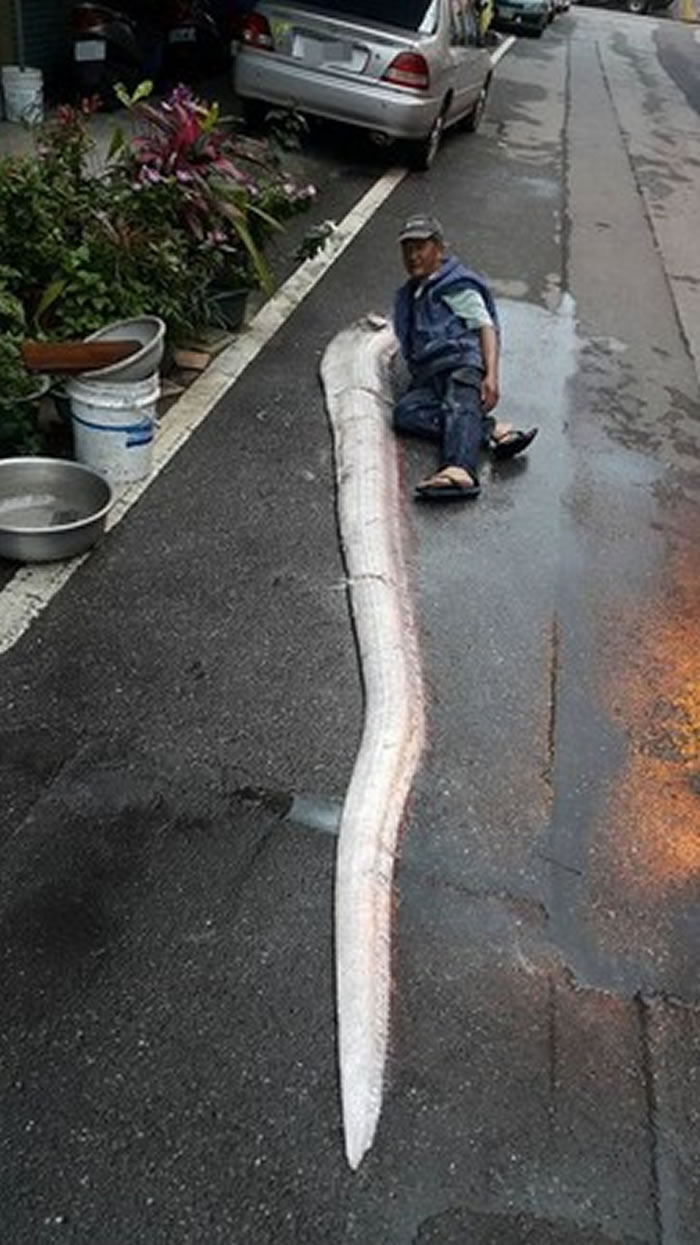 ̨���峿���������������󲶻�����㡰�ʴ��㡱