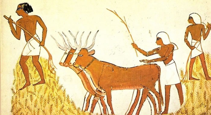 һ��һ�����ڹŴ�ũҵ�����֡�