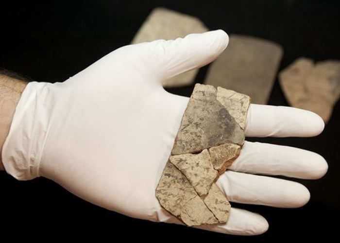 ��ɫ��ѧ�߷��֡�ʥ������Ƭ��