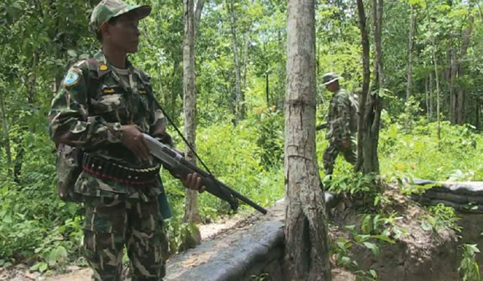 护林人员手持武器,在森林中巡逻。