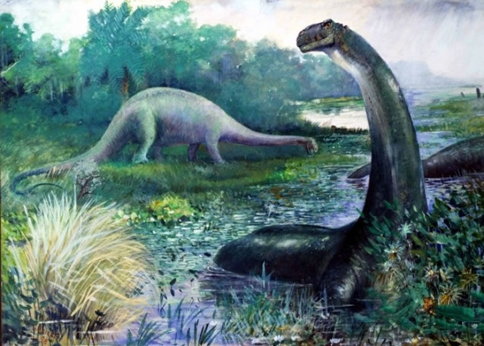 ���������ֲ�ʳ������ʧ�ٶ���졣