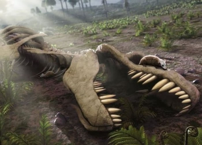 �����������޷���Ӧ���򻷾��仯���𽥼��١�