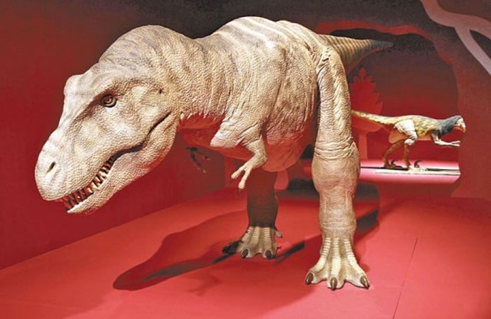 ר��ָ����������ʳ��������Ŀ�ཥ�����١�