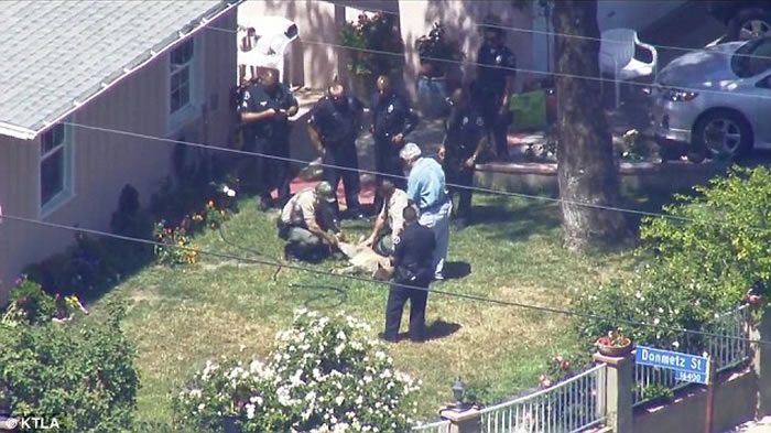 ����ɽʨ����У԰ ����׷����Сʱ���ձ���