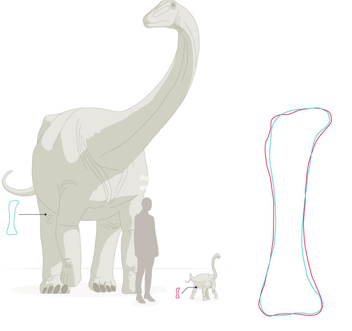 ������ʳ����ʯ�о��������־��Ϳ����ڳ���ʱ���г��������������