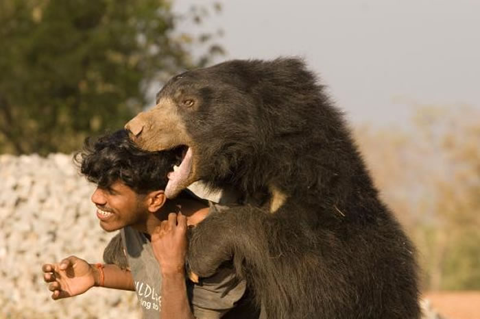 ��³���ɫ�������������ܡ� PHOTOGRAPH BY NEHA VASANT DIDDEE, NATIONAL GEOGRAPHIC CREATIVE