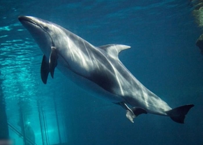 ֥Ӹˮݺ൮ ְԱ֤ܰһ