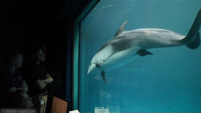 ֥Ӹˮݺ൮ ְԱ֤ܰһ