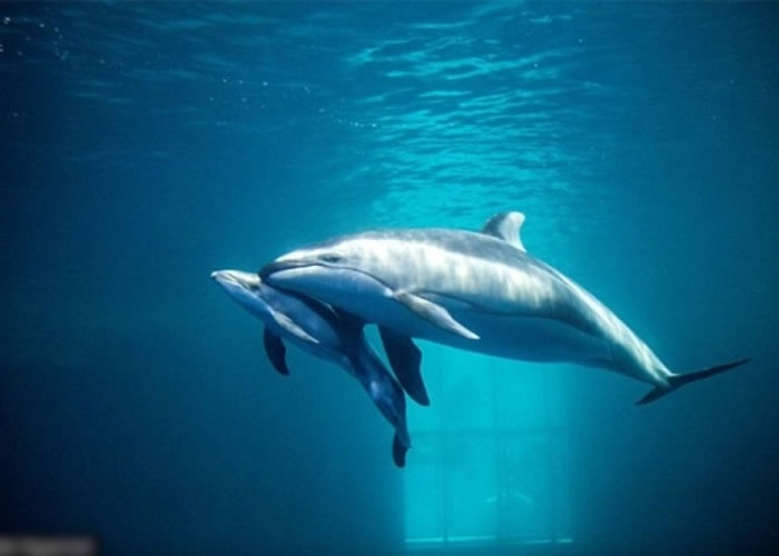 ֥Ӹˮݺ൮ ְԱ֤ܰһ