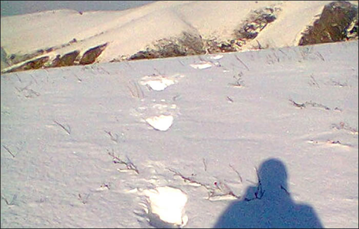 神秘雪人留下的大脚印