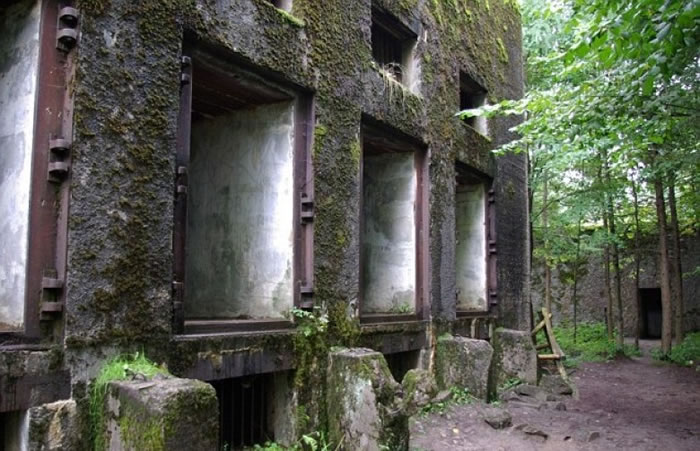 废弃碉堡现已杂草丛生。