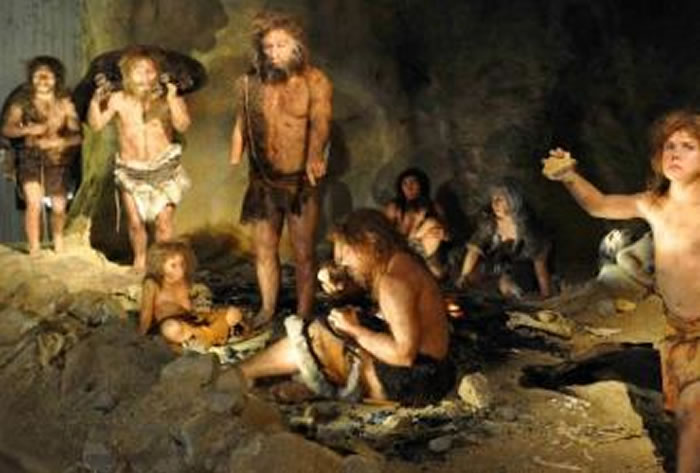 Ŵѧѧϵء¿޷أCharlotte J. Houldcroftѧ߳޵Яȴԭ嵼ᰲ