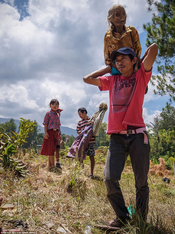 印尼苏拉威西岛托拉雅族人的赶尸习俗:每年8月开棺挖坟将亲人遗体挖出