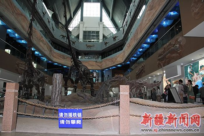 新疆首届海洋化石展将于4月30日在昌吉恐龙馆开展