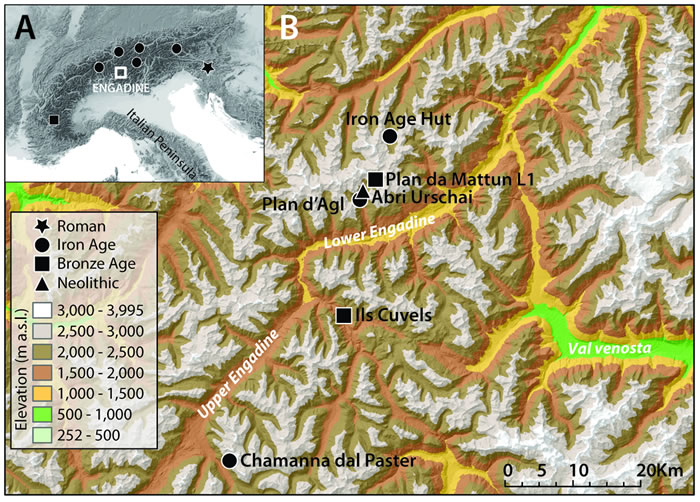 研究发现人口压力催生铁器时代欧洲山区乳制品产业