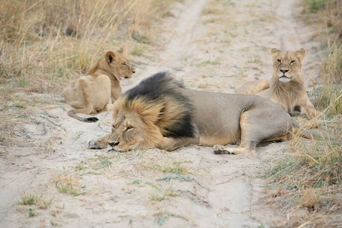 ��������С������һ����Ϣ