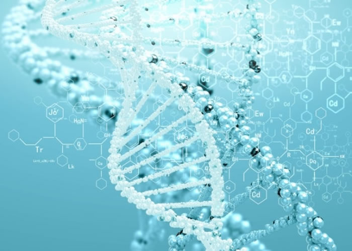 英国研究发现半数西欧男人基因承自4000年前青铜时代同一统治者